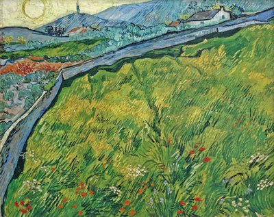 Campo di grano recintato con sole nascente da Vincent van Gogh