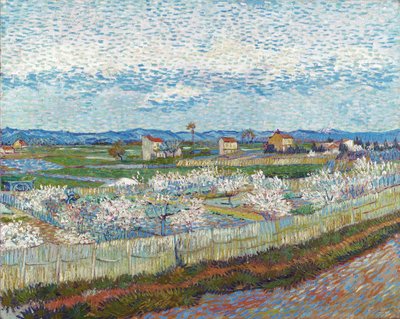 Alberi di pesco in fiore, 1889 da Vincent van Gogh