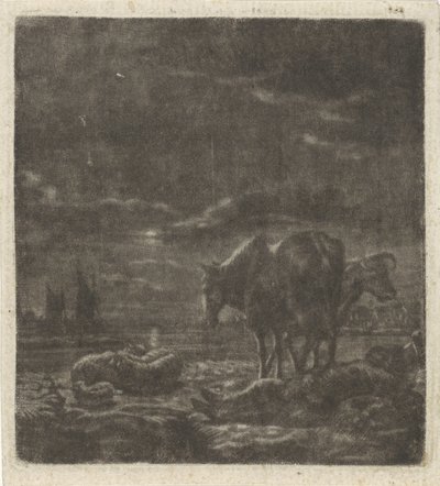 Paesaggio notturno con pastore dormiente e bestiame da Vincent Laurensz. van der Vinne (II)