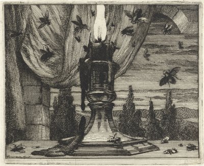 Mosche attratte dalla luce di una candela da Vincent Laurensz. van der Vinne (II)