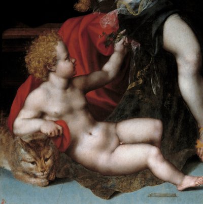 Giove in satiro con Antiope e i suoi gemelli (dettaglio) da Vincent Sellaer
