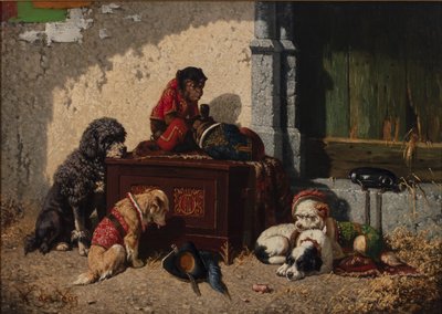 Compagni di circo da Vincent de Vos