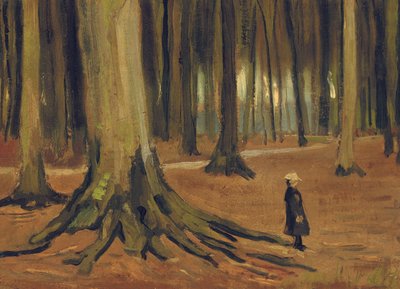 Una ragazza nel bosco da Vincent van Gogh