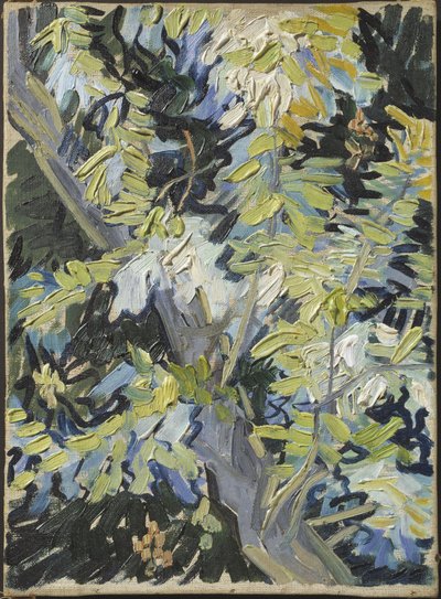 Acacia in fiore da Vincent van Gogh