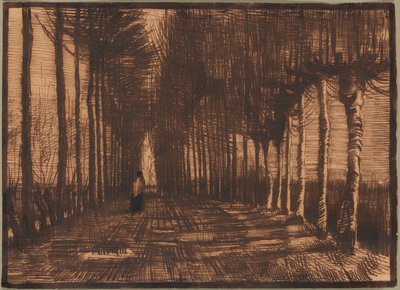 Viale delle betulle e dei pioppi di Pollard da Vincent van Gogh