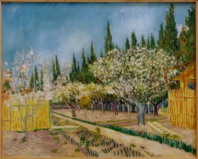 Frutteto in fiore, circondato da cipressi da Vincent van Gogh