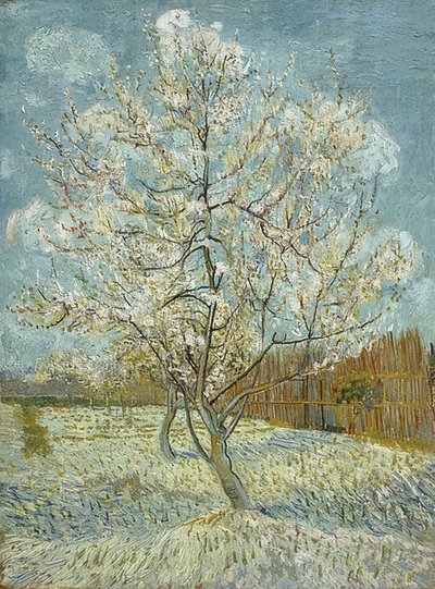 Pesco in fiore (rosa). Arles, aprile-maggio 1888 da Vincent van Gogh
