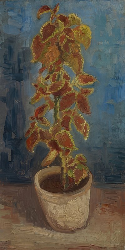 Vaso di fiori con coleus da Vincent van Gogh