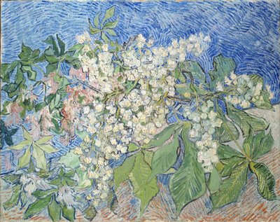 Rami di ippocastano in fiore, 1890 da Vincent van Gogh