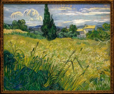 Ma Verde da Vincent van Gogh