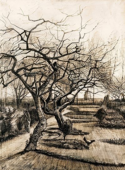 Il giardino della canonica a Nuenen. 1884 da Vincent van Gogh