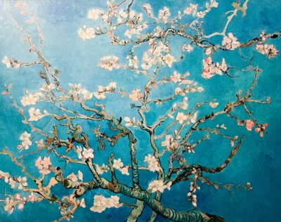 Olandese: Amandelbloesem Albero dei rami di mandorlo in fiore da Vincent van Gogh