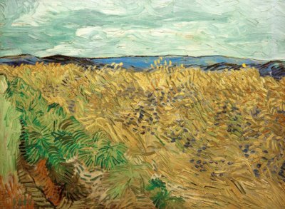 Campo, con fiordalisi da Vincent van Gogh