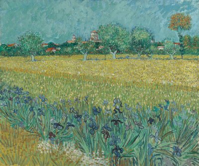Campo con Fiori vicino ad Arles da Vincent van Gogh