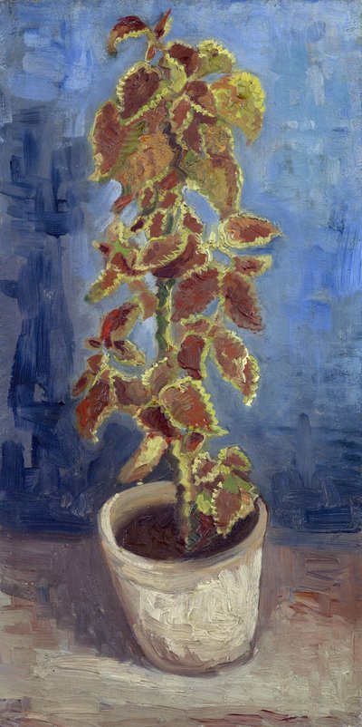 Ortica fiammeggiante in un vaso di fiori da Vincent van Gogh