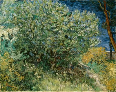 Lillà da Vincent van Gogh