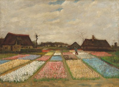 Aiuole in Olanda, c.1883 da Vincent van Gogh