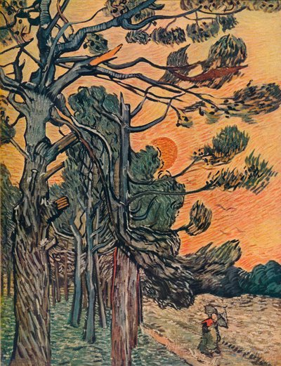 Foresta di abeti al tramonto, 1889 da Vincent van Gogh