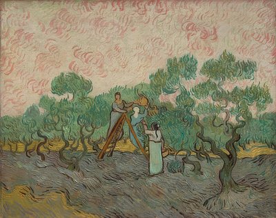 Donne alla raccolta delle olive. 1889 da Vincent van Gogh