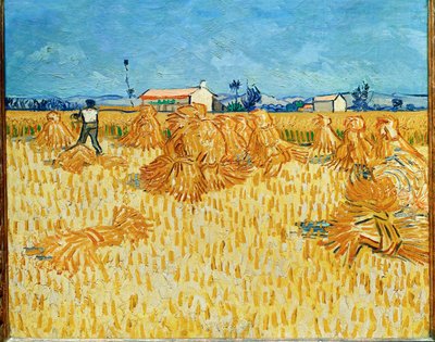Vendemmia in Provenza, giugno 1888 (olio su tela) da Vincent van Gogh