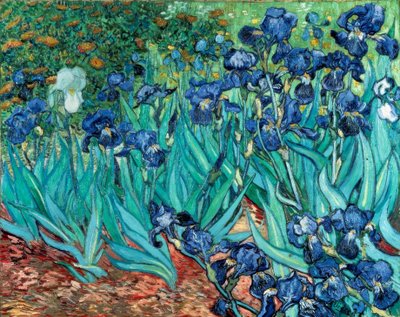 Iris da Vincent van Gogh