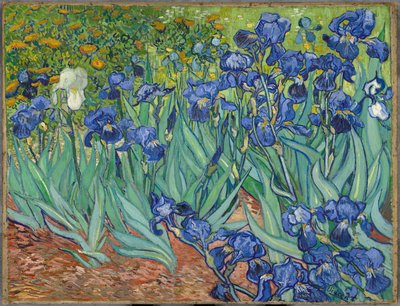 Iris da Vincent van Gogh