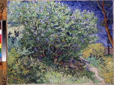 Il cespuglio di lillà da Vincent van Gogh