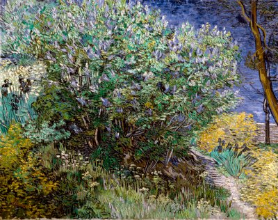 Il cespuglio di lillà da Vincent van Gogh