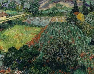 Campo di papaveri da Vincent van Gogh