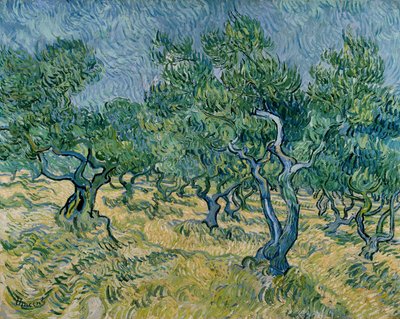 Uliveto da Vincent van Gogh