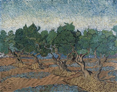 Uliveto da Vincent van Gogh