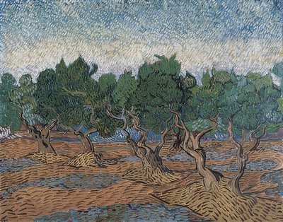 Uliveto. 1889 da Vincent van Gogh