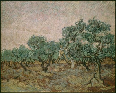 Raccoglitore di olive da Vincent van Gogh