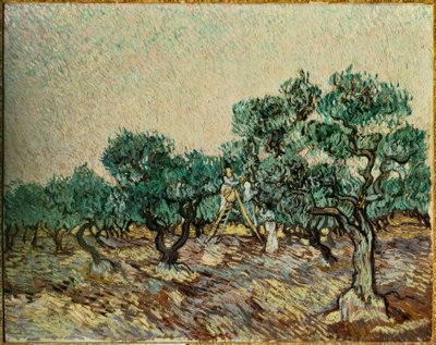 Raccoglitori di olive da Vincent van Gogh