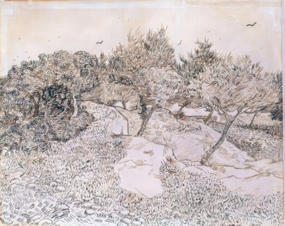 Ulivi a Montmajour da Vincent van Gogh