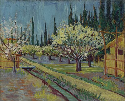 Frutteto bordato di cipressi da Vincent van Gogh