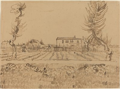 Contadino nei campi vicino ad Arles da Vincent van Gogh