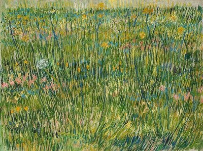 Prato da Vincent van Gogh