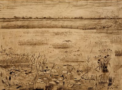Paesaggio paludoso con ninfee da Vincent van Gogh