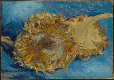  da Vincent van Gogh