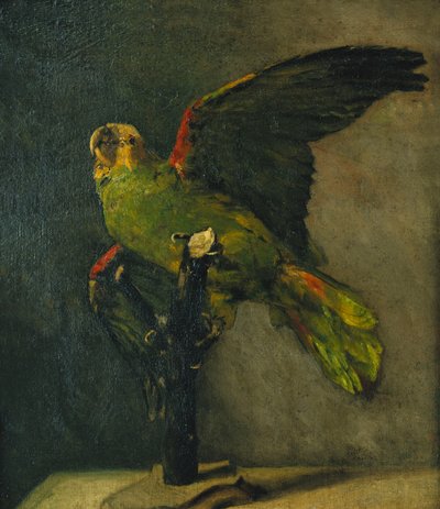 Il Pappagallo Verde; Le Perroquet Vert, 1885 da Vincent van Gogh