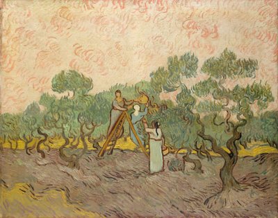 I raccoglitori di olive, Saint-Remy da Vincent van Gogh