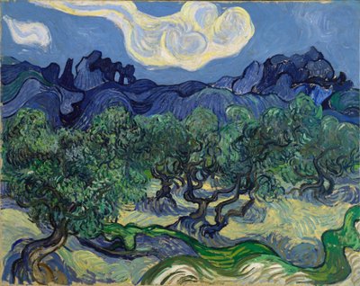 Gli ulivi da Vincent van Gogh