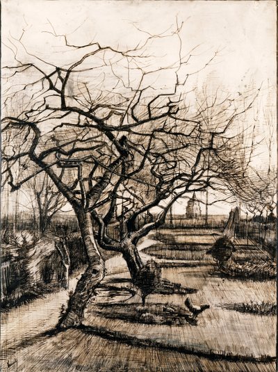 Il giardino della canonica a Nuenen in inverno da Vincent van Gogh