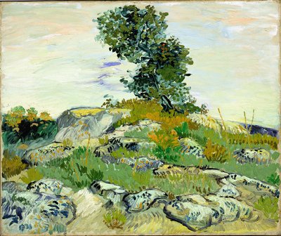Le rocce da Vincent van Gogh