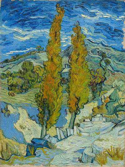 Due pioppi nelle Alpilles vicino a Saint-Rémy da Vincent van Gogh