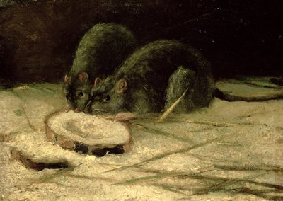Due Ratti, c.1884 da Vincent van Gogh