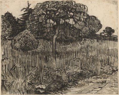 Albero piangente da Vincent van Gogh