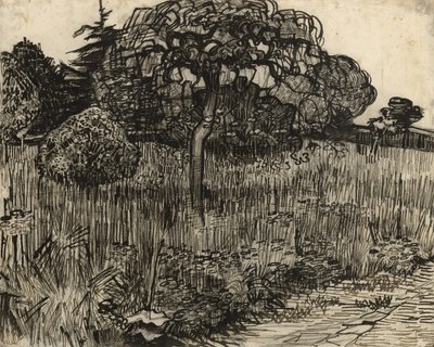 Albero piangente da Vincent van Gogh