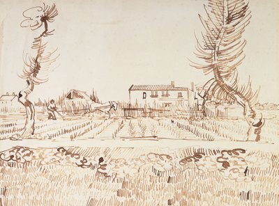 Lavorare nei campi ad Arles, 1888 da Vincent van Gogh
